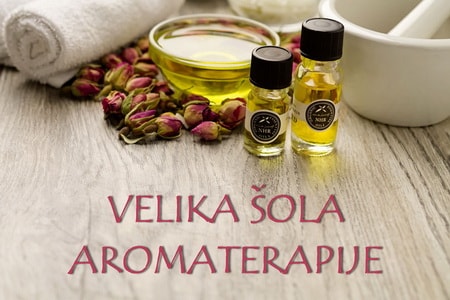 Velika šola aromaterapije - priprava na NPK aromaterapevt/ka