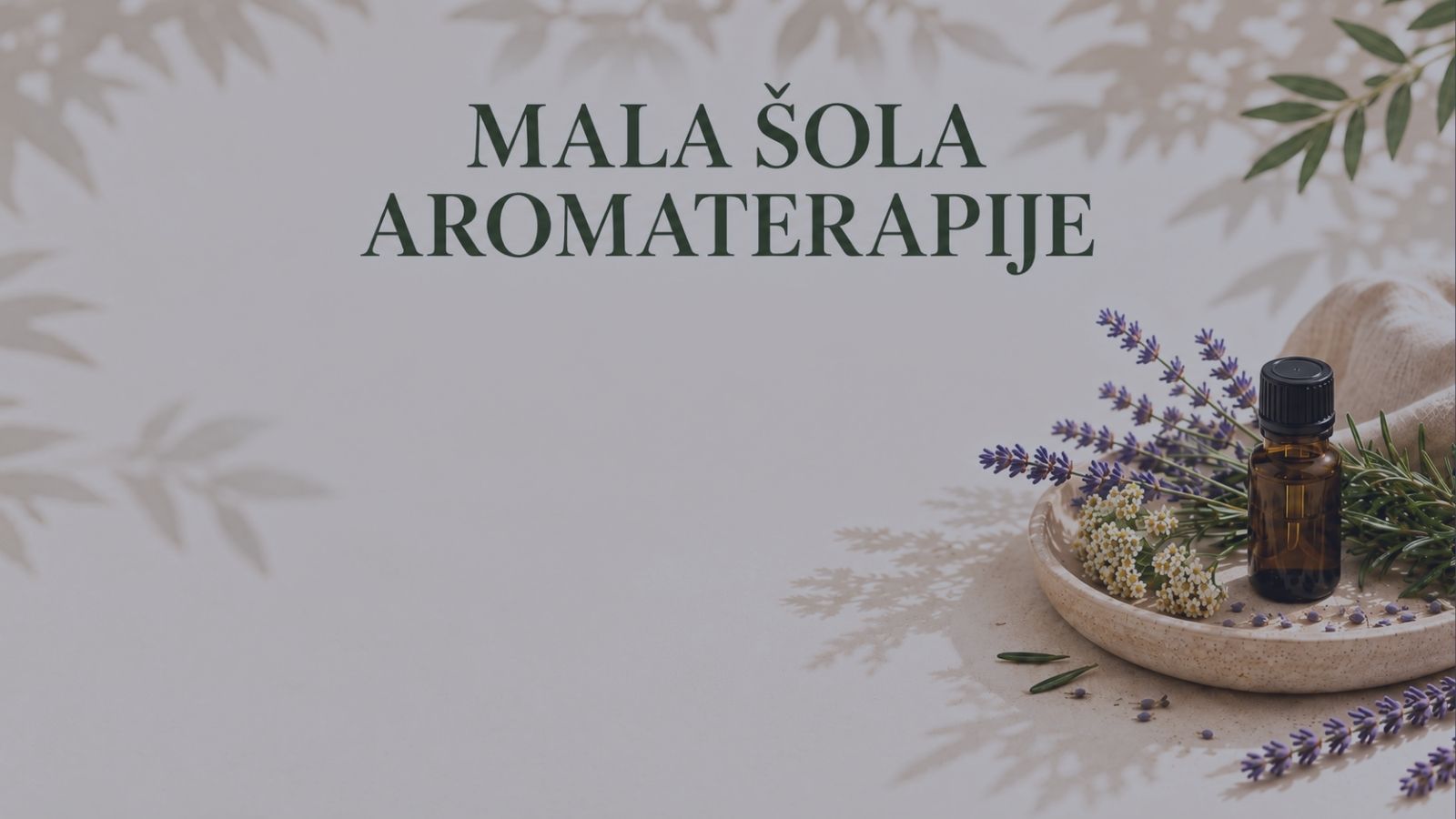 Mala šola aromaterapije